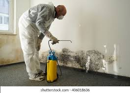 Best Biohazard Mold Removal in Shoshone, ID